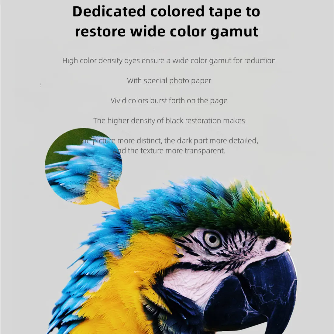 Printer Foto MIjia Khusus 6-in - Smart Home Xiaomi ulasan dan harga