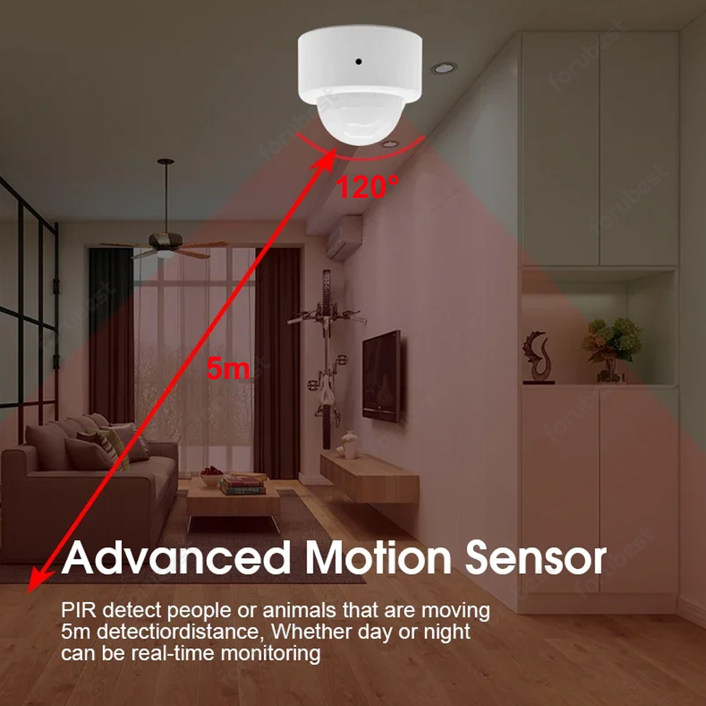 Zigbee 3.0 Sensor gerak manusi - Smart Home Hub ulasan dan harga